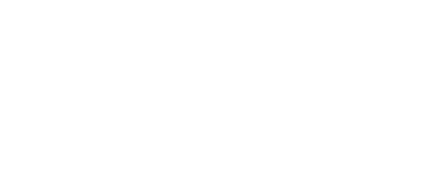The Distribution Company Logo